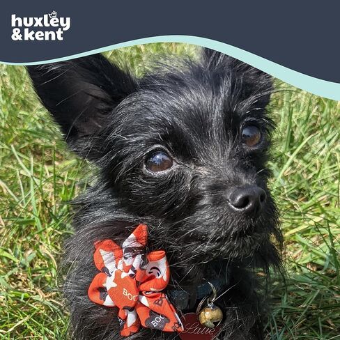 Huxley & Kent Ghostbusters Large Halloween Collar Accessory for Dogs/Cats - Fun Pinwheel Collar Attachment - Cute, Comfortable Pet Accessory in Saudi Arabia