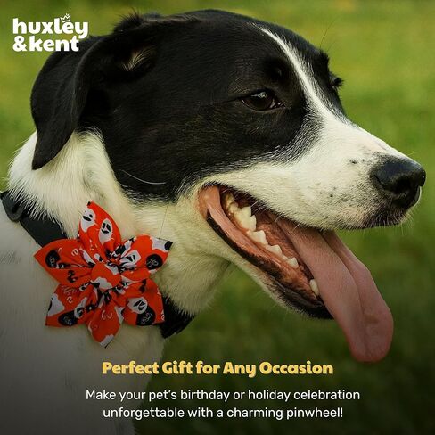 Huxley & Kent Ghostbusters Large Halloween Collar Accessory for Dogs/Cats - Fun Pinwheel Collar Attachment - Cute, Comfortable Pet Accessory in Saudi Arabia