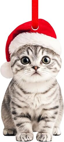 SICOHOME Orange Cat Christmas Ornament - Graceful Acrylic Fat Orange Cat Gifts Cats Ornaments for Christmas Tree Christmas Decor Home (2D) in Saudi Arabia
