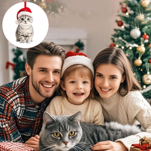 SICOHOME Orange Cat Christmas Ornament - Graceful Acrylic Fat Orange Cat Gifts Cats Ornaments for Christmas Tree Christmas Decor Home (2D) in Saudi Arabia