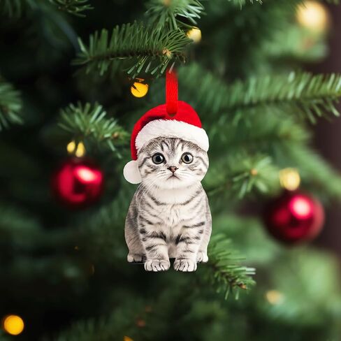 SICOHOME Orange Cat Christmas Ornament - Graceful Acrylic Fat Orange Cat Gifts Cats Ornaments for Christmas Tree Christmas Decor Home (2D) in Saudi Arabia