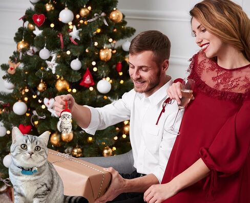 SICOHOME Orange Cat Christmas Ornament - Graceful Acrylic Fat Orange Cat Gifts Cats Ornaments for Christmas Tree Christmas Decor Home (2D) in Saudi Arabia