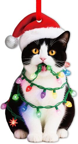 SICOHOME Orange Cat Christmas Ornament - Graceful Acrylic Fat Orange Cat Gifts Cats Ornaments for Christmas Tree Christmas Decor Home (2D) in Saudi Arabia