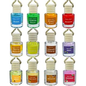 Air Diffuser Essential Oil Set | 12 Natural Scents Like Jasmine, Ocean, Sandalwood | Long Lasting Car Air Freshener for Women & Men | Hanging Glass Bottles, Air Freshener for Travel (8 ML Per Bottle) in Kuwait