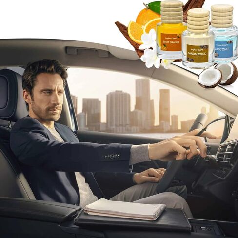 Air Diffuser Essential Oil Set | 12 Natural Scents Like Jasmine, Ocean, Sandalwood | Long Lasting Car Air Freshener for Women & Men | Hanging Glass Bottles, Air Freshener for Travel (8 ML Per Bottle) in Saudi Arabia