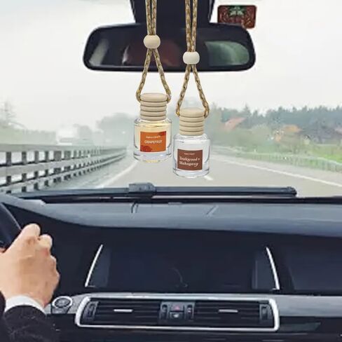 Air Diffuser Essential Oil Set | 12 Natural Scents Like Jasmine, Ocean, Sandalwood | Long Lasting Car Air Freshener for Women & Men | Hanging Glass Bottles, Air Freshener for Travel (8 ML Per Bottle) in Saudi Arabia