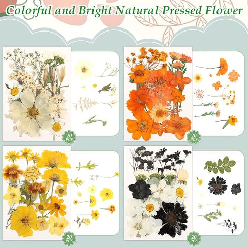 Real Dried Pressed Flowers for Crafts, 100+ PCS Fall Dried Flowers Leaves Nature Flowers Florals Set with Tweezer for Resin Jewelry Making Thanksgiving DIY Candle Scrapbooking Gift (Orange, Yellow) in Kuwait