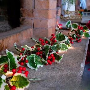 2Pcs Christmas Artificial Garland Xmas Berry Holly Leaves Red Berries Hanging Vine for Christmas Party Home Decor White Green in Kuwait