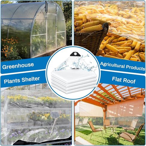 4 Pcs Transparent Tarp 6x8 ft Clear Waterproof Weatherproofing Tarp with Grommets Green House Cover 8mil Plant Cover Shed Cloth with Rope for Greenhouse Henhouse Porch (Classic Style) in Kuwait