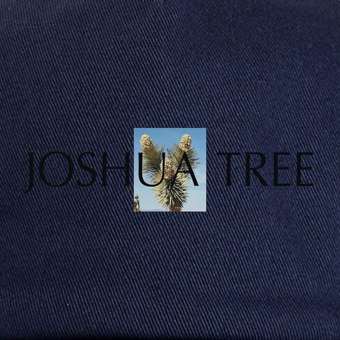 CafePress Joshua Tree Cap Adjustable Baseball Cap in Saudi Arabia