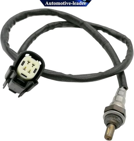 2 قطعة 32700026 32700006 مستشعر O2 المنبع لـ Sportster 883 منخفض جدًا، حديد، لـ Sportster 1200 مخصص، منخفض للغاية، ثمانية وأربعون، اثنان وسبعون مستشعر أمامي وخلفي in Saudi Arabia