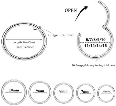 2Pcs Titanium Nose Rings Hoop 16G 12mm Double Hoop Nose Ring Silver Cartilage Helix Daith Rook Earring Hinged Septum Segment Ring Clicker Piercing in Saudi Arabia