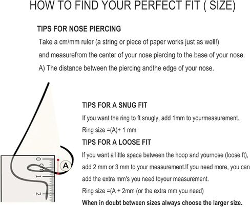 2Pcs Titanium Nose Rings Hoop 16G 12mm Double Hoop Nose Ring Silver Cartilage Helix Daith Rook Earring Hinged Septum Segment Ring Clicker Piercing in Saudi Arabia