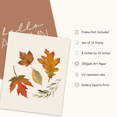 FYSUIMU 12Pcs Thanksgiving Wall Art Prints Boho Fall Turkey Pumpkin Maple Leaf Art Poster Aesthetic Seasonal Wall Decor for Autumn Home Office School Gallery(UNFRAMED 8 x 10 Inch) in Saudi Arabia