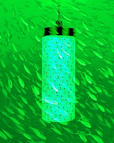 Underwater Green Fishing Light, 50FT Cord 30000LM LED Night Fishing Finder Attractor, IP68 Submersible Lamp with Battery Clips Cigarette Charger Plug in Saudi Arabia