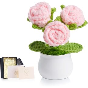 LAIDANLA كروشيه الزهور الحمراء الورود الصغيرة بوعاء، اليدوية التقدير الذكرى عيد الميلاد هدايا عيد الميلاد للنساء المعلم عاشق أمي أخت صديق محبوك زهرة لمكتب لوحة القيادة السيارة in Kuwait