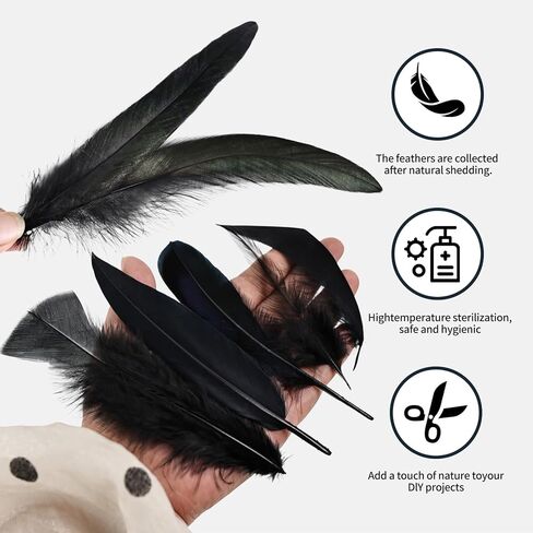 FeelfunFeather 300 pcs Small Feathers - 10 Style Mixed Spotted Decorative Natual Pheasant Feather for DIY Crafts Clothing Jewelry Hair Decoration in Kuwait