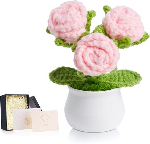 LAIDANLA كروشيه الزهور الحمراء الورود الصغيرة بوعاء، اليدوية التقدير الذكرى عيد الميلاد هدايا عيد الميلاد للنساء المعلم عاشق أمي أخت صديق محبوك زهرة لمكتب لوحة القيادة السيارة in Kuwait