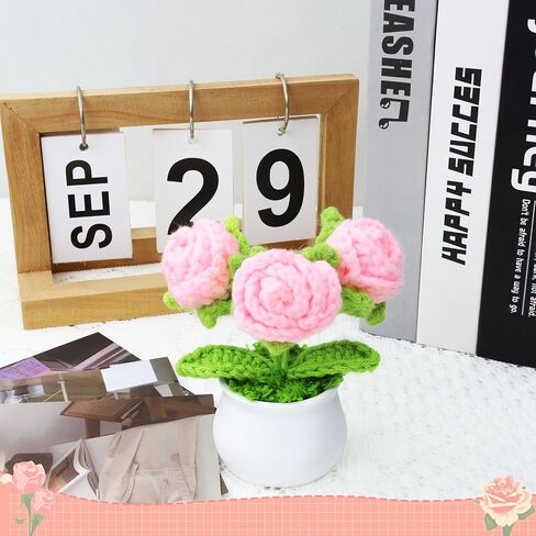 LAIDANLA كروشيه الزهور الحمراء الورود الصغيرة بوعاء، اليدوية التقدير الذكرى عيد الميلاد هدايا عيد الميلاد للنساء المعلم عاشق أمي أخت صديق محبوك زهرة لمكتب لوحة القيادة السيارة in Kuwait