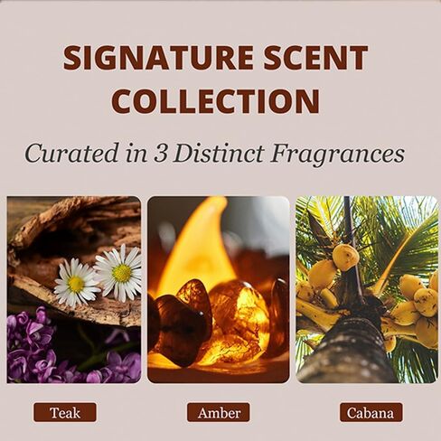 Wooden Car Aromatherapy Diffuser, 6 Natural Scents Collection with Teak, Amber, and Cabana Fragrances (Pine/Starter Kit) in Saudi Arabia