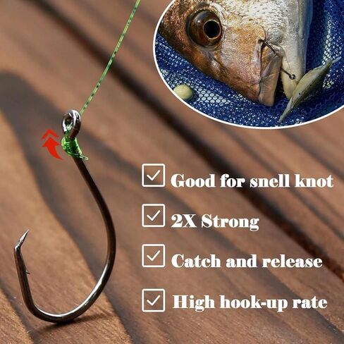 خطافات دائرة الأخطبوط للمياه المالحة - 50 قطعة خطاف صيد سمك السلور، خطافات صيد أوفست للحفارات مقاس 1 1/0 2/0 3/0 4/0 5/0 6/0 7/0 8/0 9/0 in Kuwait