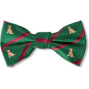 Spring Notion Boy's Microfiber Woven Labrador Christmas Bow Ties