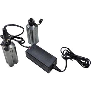 TF-POWER 2PCS BM2500/BM2300/2900 14.8V 2900mAh Battery with RB-CC4002 Charger Compatible with for Shimano BeastMaster 9000 for Daiwa BM2300 BM2900 for Tanacom 750 550 4000 Electric Fishing Reel
