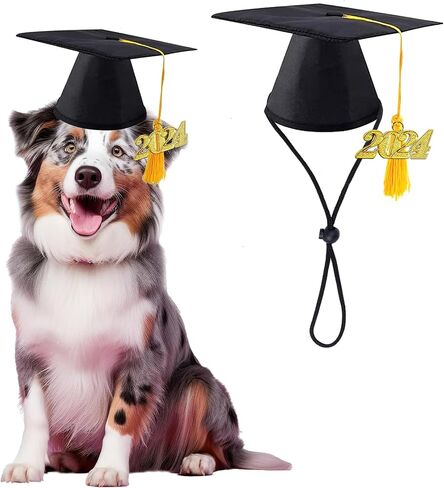 Pet Graduation Caps Dog Graduation Hat with 2024 Black Tassel Puppy Grad Hat Graduation Costume for Dogs Cats Holiday Dog Outfits Accessory Party Dress-Up Photo Prop Apparel (Graduation, Black) in Saudi Arabia