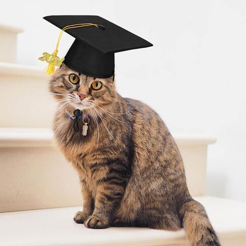 Pet Graduation Caps Dog Graduation Hat with 2024 Black Tassel Puppy Grad Hat Graduation Costume for Dogs Cats Holiday Dog Outfits Accessory Party Dress-Up Photo Prop Apparel (Graduation, Black) in Saudi Arabia