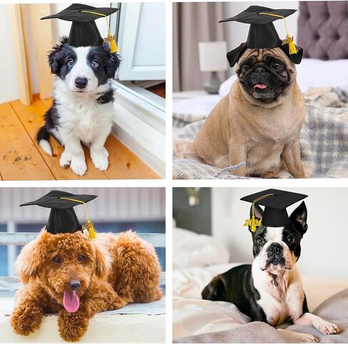 Pet Graduation Caps Dog Graduation Hat with 2024 Black Tassel Puppy Grad Hat Graduation Costume for Dogs Cats Holiday Dog Outfits Accessory Party Dress-Up Photo Prop Apparel (Graduation, Black) in Saudi Arabia