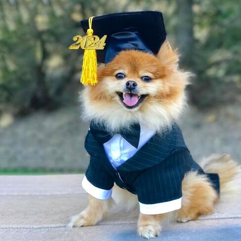 Pet Graduation Caps Dog Graduation Hat with 2024 Black Tassel Puppy Grad Hat Graduation Costume for Dogs Cats Holiday Dog Outfits Accessory Party Dress-Up Photo Prop Apparel (Graduation, Black) in Saudi Arabia