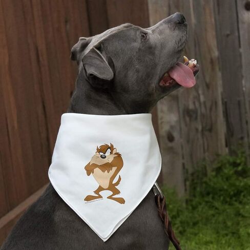 Looney Tunes Taz Dog Pet Bandana in Saudi Arabia