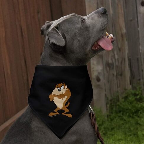 Looney Tunes Taz Dog Pet Bandana in Saudi Arabia