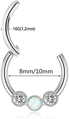GAGABODY Daith Jewelry Septum Clicker 16 Gauge Earrings Nose Hoops Surgical Steel Hinged Nose Rings Cartlidge Earring Hoop Helix Tragus Rook Piercing in Kuwait