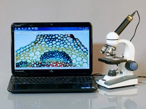 AmScope M150C-PB10-WM مجهر أحادي مركب، عدسات WF10x وWF25x، تكبير 40x-1000x، إضاءة LED، برايتفيلد، مكثف أحادي العدسة، تركيز محوري خشن ودقيق، مرحلة عادية، 110 فولت، تتضمن 5 شرائح فارغة، 5 شرائح جاهزة، ان in Saudi Arabia
