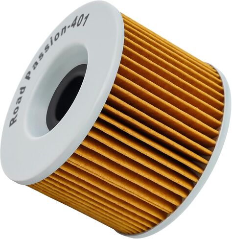Road Passion 15410-422-000 Oil Filter Compatible with Honda CB500 1971 CB500 F Four 1972-1977 CB500 K1,K2,K3 1972-1974 CB550 1974-1976 CB550 F1,F2 (4 Cylinders) 1975-1977 CB650 ZRC03 1979(2PCS) in Saudi Arabia