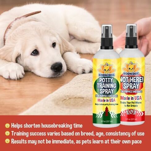 Bodhi Dog Not Here Spray - Trains Your Pet Where Not to Pee Indoors or Outdoors - Anti Marking Deterrent for Furniture, Carpet and Floor - Training Corrector for Puppies & Dogs - Made in USA (8 Fl Oz) in Kuwait