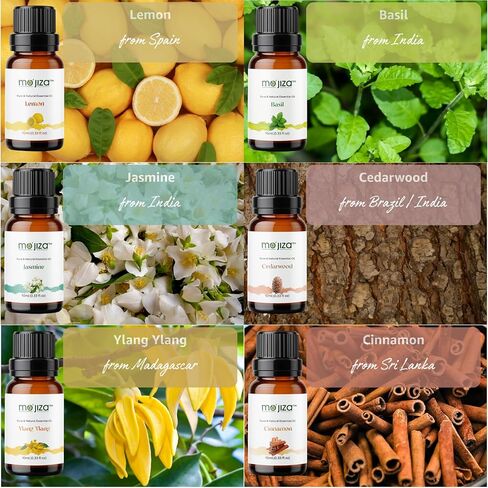مجموعة هدايا الزيوت العطرية النقية للعلاج العطري من موجيزا، 14 زيتًا - الياسمين والليمون والريحان واليلانج يلانج وخشب الأرز والقرفة واللافندر وشجرة الشاي وأكثر من ذلك، 10 مل لكل منها. كوشير معتمد، نباتي ولم يتم الإساءة إلى الحيوانات لتصنيعه in Kuwait
