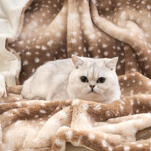 بطانية للكلاب الكبيرة مضادة للتسرب، بطانية دافئة من الفرو الصناعي لحماية الأريكة، قابلة للغسل، غطاء سميك رقيق للقطط، حماية أثاث قابلة للعكس من القطيفة الناعمة، مقاس 40 × 60 بوصة، طباعة جلد الفهد البني in Kuwait