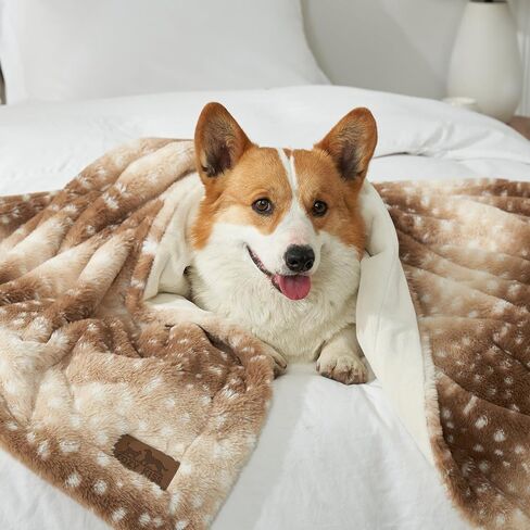 بطانية للكلاب الكبيرة مضادة للتسرب، بطانية دافئة من الفرو الصناعي لحماية الأريكة، قابلة للغسل، غطاء سميك رقيق للقطط، حماية أثاث قابلة للعكس من القطيفة الناعمة، مقاس 40 × 60 بوصة، طباعة جلد الفهد البني in Kuwait