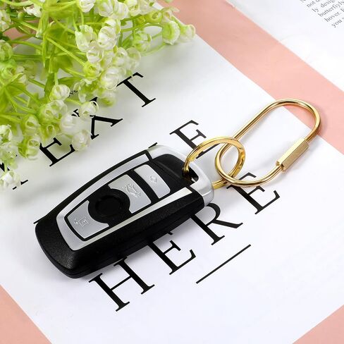 Key Chain Brass Key Rings Screw Lock Keys Organizer 2 Pack Keychain Clip with 6 Rings, Carabiner Keys Ring Holder for Men Women, Gold in Saudi Arabia