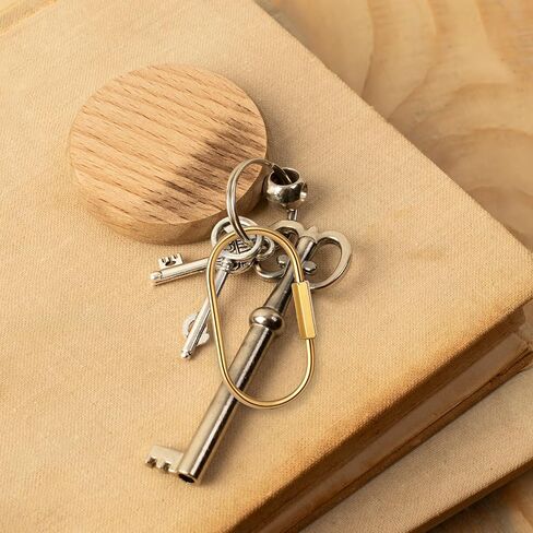 Key Chain Brass Key Rings Screw Lock Keys Organizer 2 Pack Keychain Clip with 6 Rings, Carabiner Keys Ring Holder for Men Women, Gold in Saudi Arabia