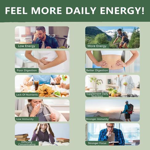 Floraviva Rhodiola Rosea Capsules, Natural Adaptogenic Herb, 500mg Organic Rhodiola Rosea Extract Supplement for Stress Support, Balance Energy, Immune Function, Non-GMO, 60 Vegan Capsules in Saudi Arabia