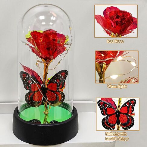 ارتفع إلى الأبد للنساء أمي زوجة، عيد الأم أفكار هدية الورد إلى الأبد، المجرة زهرة الورد تضيء في قبة زجاجية، الورود الأبدية هدايا عيد ميلاد الفراشة للنساء in Kuwait