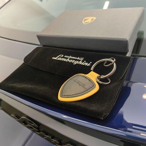 Car Key Chain for Lamborghini Urus/Huracan/Aventador KeyRings Key Holder Key Cover Men Women Gift Key Fob Accessories,A-A in Saudi Arabia