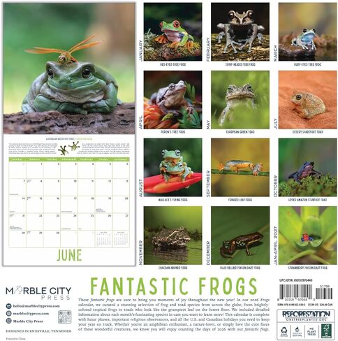 Bird Wall Calendar 2025 | 12" x 24" Birds: Feathered Friends 12 Month | Marble City Press | Backyard Ornithologist Garden Songbird | Bird Migration Map Educational QR Codes | 2024-2025 Calendar in Saudi Arabia