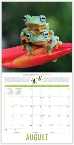 Bird Wall Calendar 2025 | 12" x 24" Birds: Feathered Friends 12 Month | Marble City Press | Backyard Ornithologist Garden Songbird | Bird Migration Map Educational QR Codes | 2024-2025 Calendar in Saudi Arabia