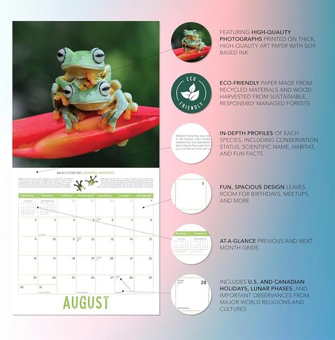 Bird Wall Calendar 2025 | 12" x 24" Birds: Feathered Friends 12 Month | Marble City Press | Backyard Ornithologist Garden Songbird | Bird Migration Map Educational QR Codes | 2024-2025 Calendar in Saudi Arabia