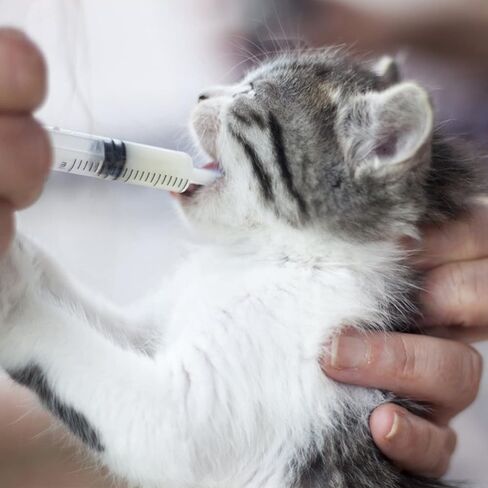 حقنة 1 مل مع 27 جم 1/2 بوصة (12.7 مم) ، محاقن المقياس 1cc 27 ، ملفوفة بشكل فردي ، حزمة 100 in Kuwait