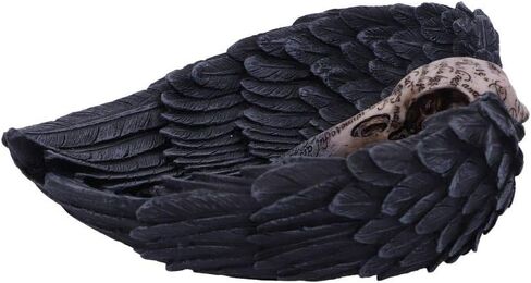 Nemesis Now Edgar Allen Poe's Nevermore Raven Skull Trinket Holder Jewellery Dish, Black, 17 cm in Saudi Arabia